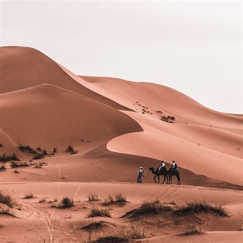 Sahara Desert Ride By Manuel Desert Aesthetic Deserts Of The World
