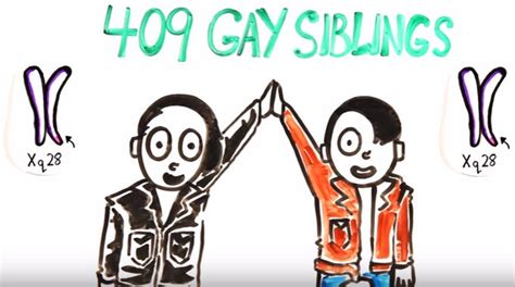 a scientific look at homosexuality does everyone have a gay gene conscious life news