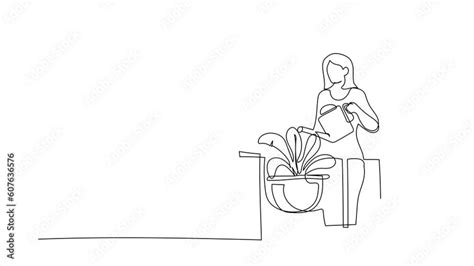 Animated Self Drawing Of Continuous Line Draw Active Woman Watering