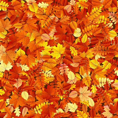 Premium Vector Autumn Leaves Background