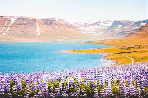 The Ultimate Guide To Westfjords Itinerary — Laidback Trip