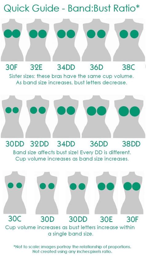 What Is A List Of Bra Sizes From Smallest To Largest Quora