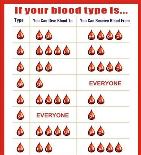 Someday I Know Ill Need This Blood Type Chart Nursing School Tips
