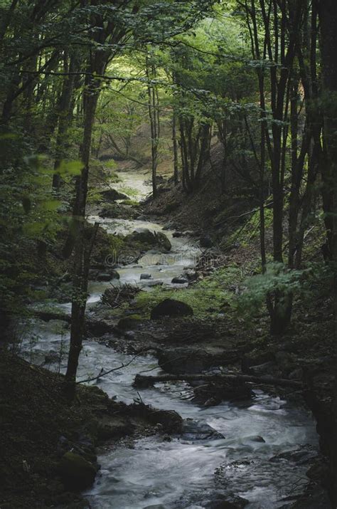 River In Dark Forest Stock Image Image Of Fall Water 71179917