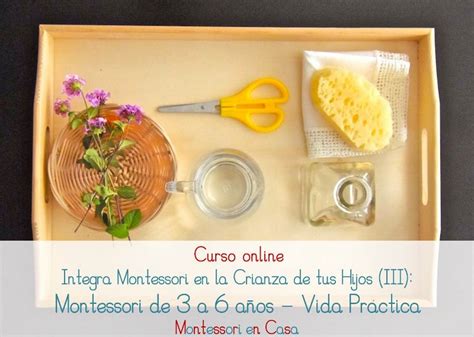 Casa montessori's classrooms are beautifully and thoughtfully arranged spaces designed to nurture the whole child. Curso online IMCH (III): Montessori de 3 a 6 años - Vida ...