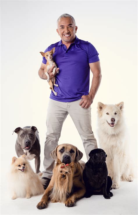Cesar Millan The Dog Whisperer Wants To Train People Not Dogs Into
