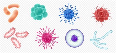 Virus Germes Et Bactéries Types De Micro Organismes Maladie Ou