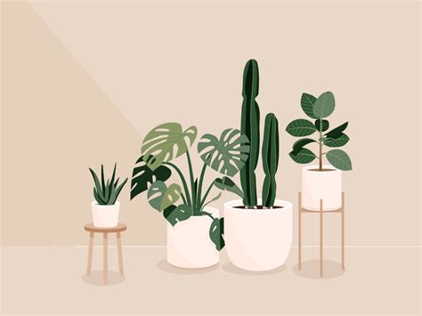 Plants By Marcella Susanto On Dribbble Wallpaper Für Desktop Macbook
