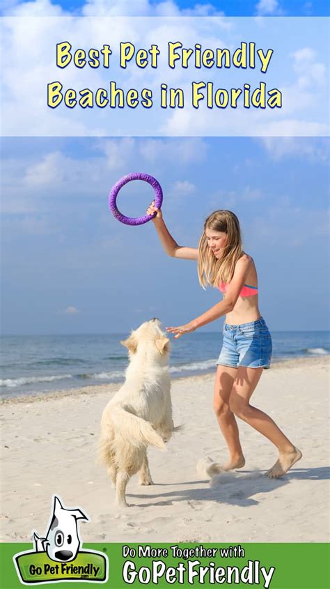 Best Pet Friendly Beaches In Florida Gopetfriendly
