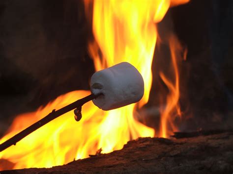 Roasting Marshmallows Is Just One Way To Enjoy Winter Camping
