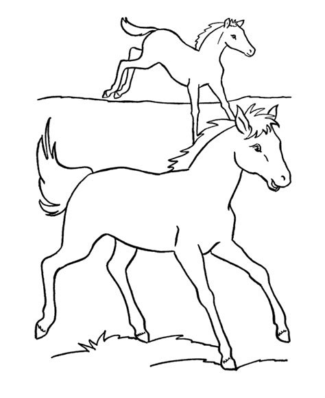 Coloring Pages Of Horses And Foals Coloring Home