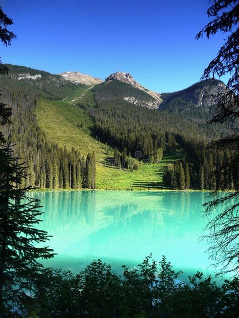British Columbia Emerald Lake Yoho Np Stock Photo Image Of Resort