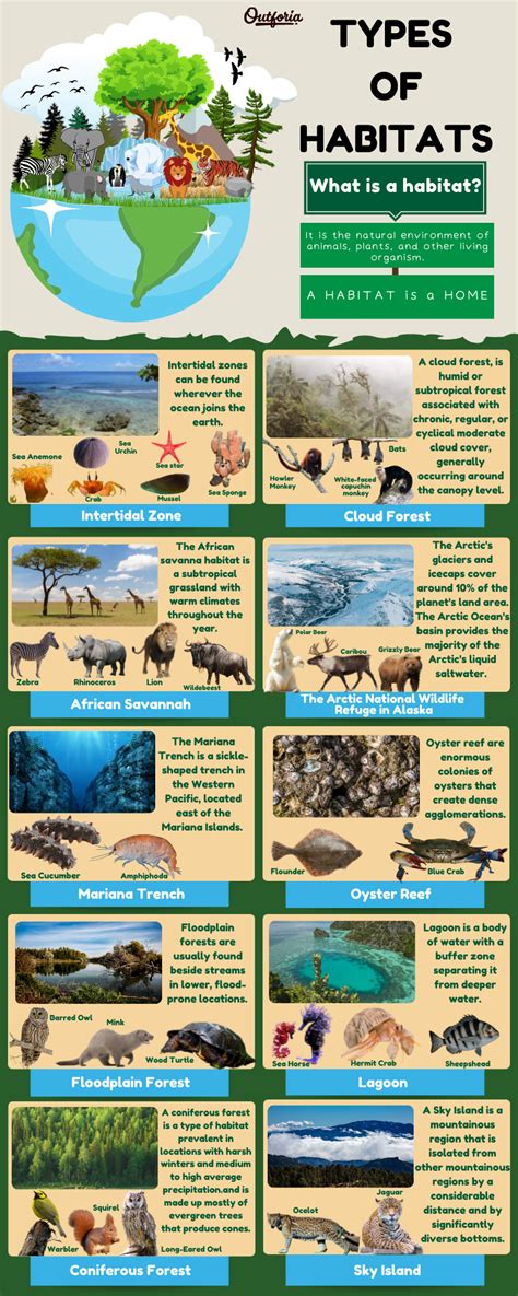 10 Different Types Of Habitats That Animals And Plants Call Home