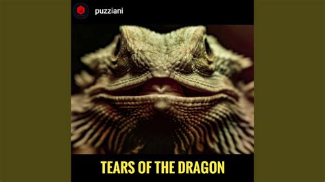 Tears Of The Dragon Instrumental Youtube