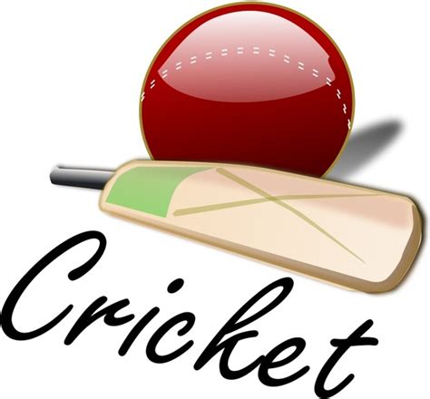 Free Cricket Vector Graphics Free Vector Download 34 Free Vector For