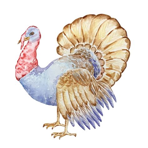 Happy Thanksgiving Day Watercolor Clipart Turkey With Pie Pumpkin By