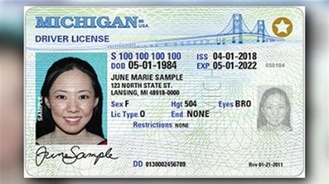 Where Is The Id Number On Michigan Drivers License