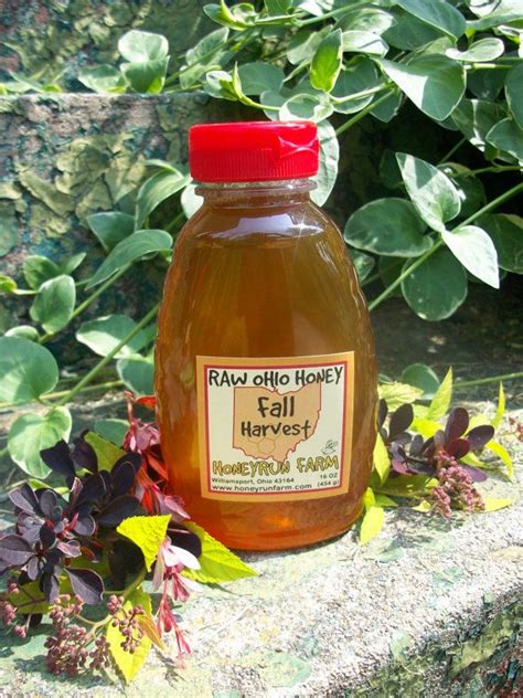 Raw Honey Ohio Fall Harvest 16 Ounce Jar Honey Raw Honey Fall