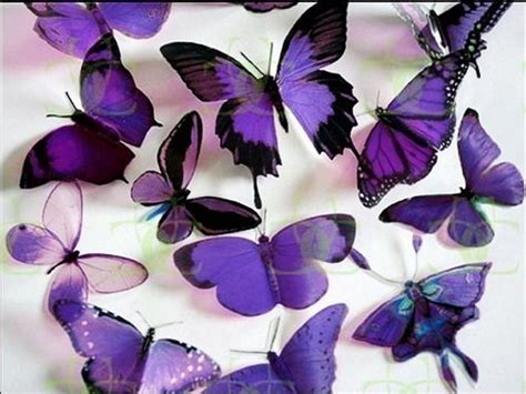 47 Pink And Purple Butterfly Wallpaper Wallpapersafari