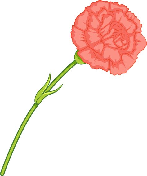 Pink Carnation Flower In Cartoon Style Isolated 2697677 Vector Art At