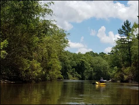 A River Kayaking Adventure Along Mississippis Secret Coast