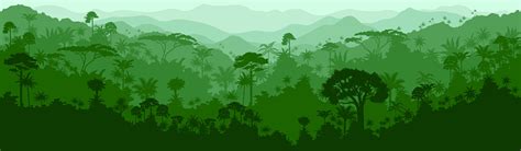 Vector Horizontal Seamless Tropical Rainforest Jungle Background Stock
