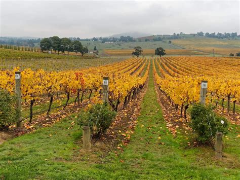 De Bortoli Wines Winery Estate And Restaurant Yarra Valley
