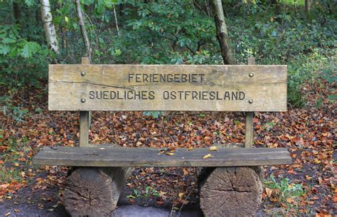 Free Images Nature Forest Wood Trail Leaf Seat Old Walk Relax