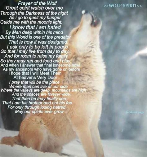 Wolfs Prayer Wolf Images Wolf Photos Wolf Pictures Totems