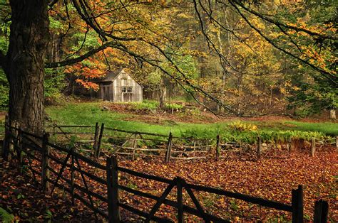 Quintessential Rustic Shack A New England Autumn Scenic Photograph By