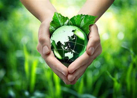 Essay On Save Earth For Children And Students