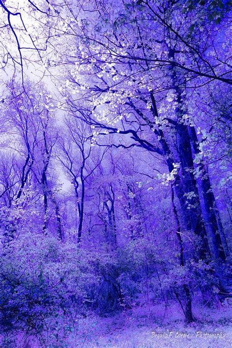 Purple Wallpaper Aesthetic Landscape Mountains Landscape Reflection