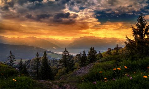 Sunshine Switzerland Light Flower Valley Glow Countryside