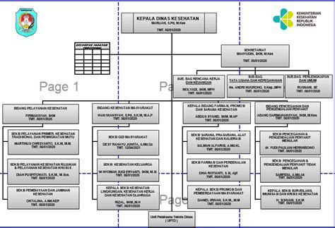 Struktur Organisasi Dinas Kesehatan