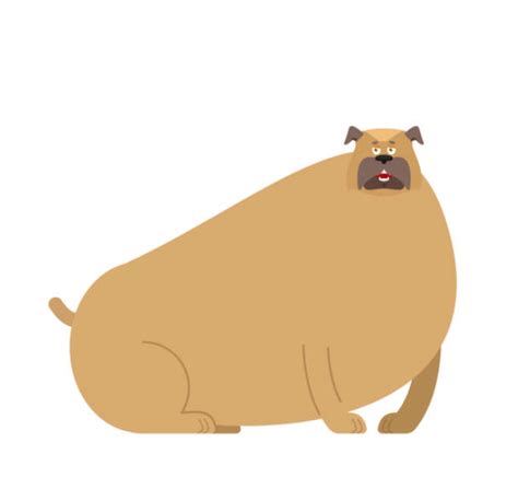 Super Fat Cartoon Dog About Morkies