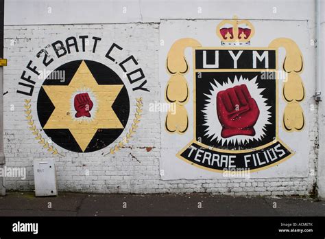 Uym Ulster Young Militants Loyalist Hi Res Stock Photography And Images