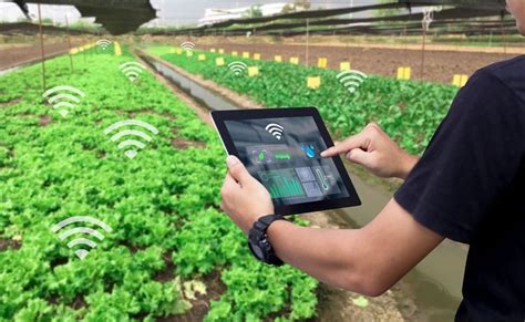 Digitalisasi Pertanian Upaya Mewujudkan Ketahan Pangan Di Era Baru