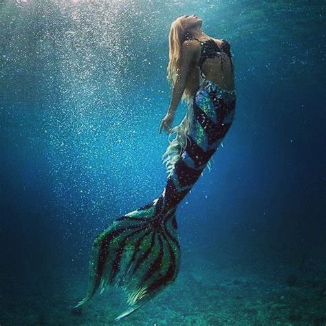 About The Instagram Company Mermaid Photography Real Life Mermaids