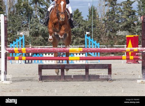 Rider Jumping With Horse Over Obstacle At Competition Outdoors Stock