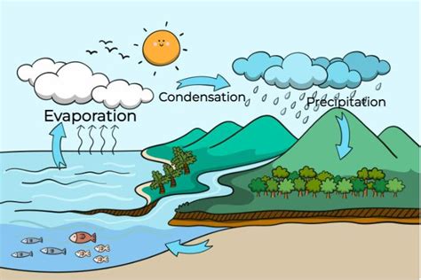 Evaporation And Factors Affecting Evaporation