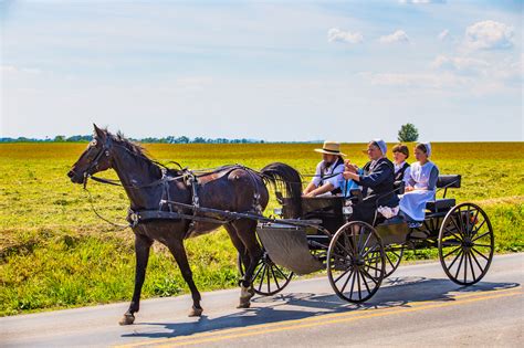 Gene Mutation Allows Some Amish People To Live 10 Years Longer