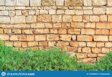 Rustic Garden Stone Wall Background Texture With Green Plant Stock