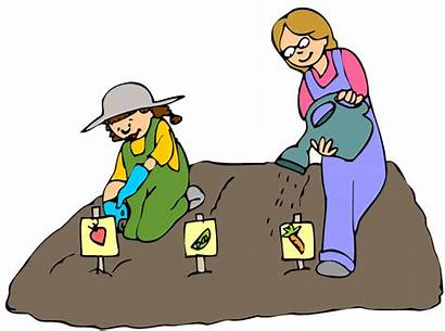 Seeds Planting Clipart Sow Sowing Plant Watering