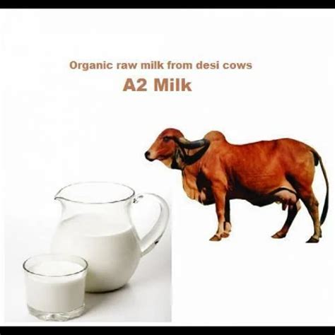 Organic Desi Cow A2 Milk Ghee Packaging Type Bottle And Tetra Pack At Rs 650litre In Ahmedabad