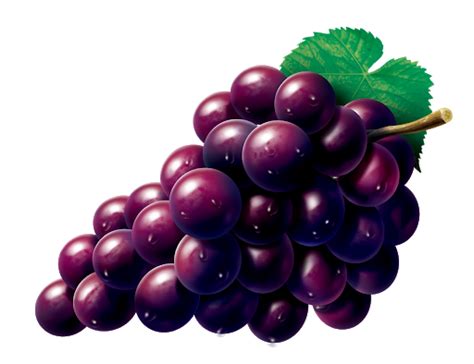 Red Grape Clipart Transparent Png Png Play
