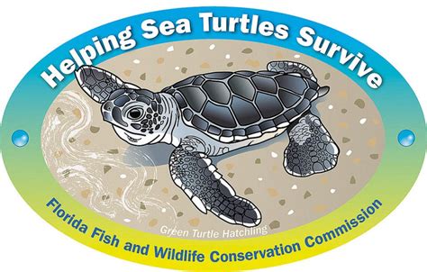 Manatee Sea Turtle Decals Help Conservation Effort Sarasota Fl Patch