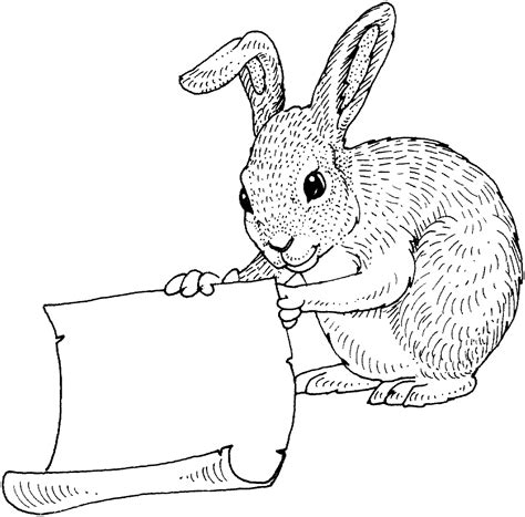 Printable Adult Coloring Pages Rabbit Coloring Pages