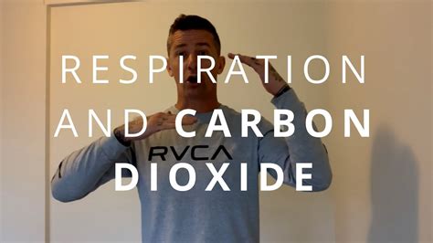 Respiration And Carbon Dioxide Youtube