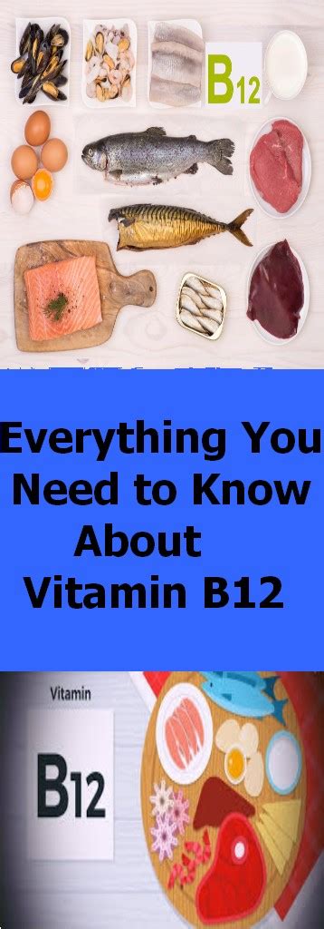 Everything You Need To Know About Vitamin B12 Yourhealthbodies