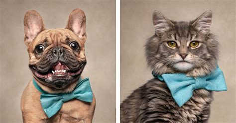 Photographer Captures Hilarious Facial Expressions From Animals After